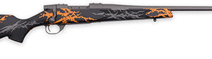 WTHBY VYH243NR2B    VGD CMPT HUNTER 243       22MB