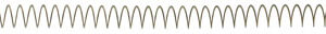Strike AR10FWS Flat Wire Spring  308 Win AR-10 Silver Stainless Steel