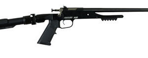 Crickett KSA2180 Precision  22 LR 1 rd 16.13" Blued Steel Barrel, Blued Steel w/Picatinny Rail Receiver, Black Adjustable Stock