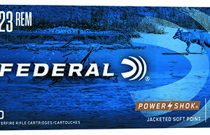 Federal 223L Power-Shok  223 Rem 64 gr Jacketed Soft Point 20 Per Box/ 10 Case