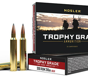Nosler 60129 Trophy Grade Long-Range 300 RUM 210 gr Nosler Spitzer AccuBond Long Range 20 Per Box/ 10 Case