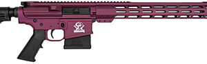 Great Lakes Firearms GL10308SSCHY GLFA  308 Win 10+1 18" AR-10 Stainless Steel Black Cherry