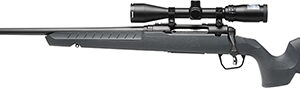 Savage Arms  Axis 2 XP Combo Gray Compact 223 Rem 4+1 20" Left Hand